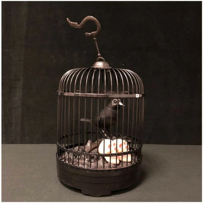 Other Animated Raven In Cage
