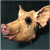 Pumpkin Pulp The Hog Mask