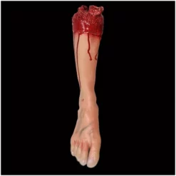 Other Severed Leg