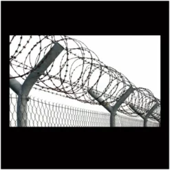 Other Razor Wire