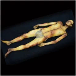 Ghost Ride Productions Autopsy Body Sloth