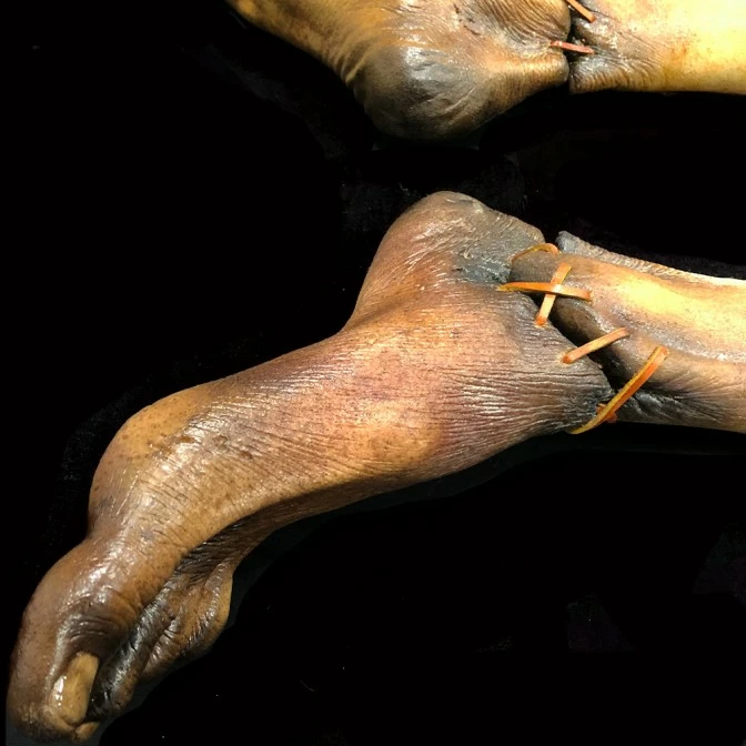 Ghost Ride Productions Autopsy Body Sloth - Image 4