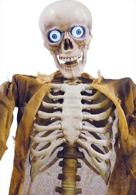 Other Animated Talking Skeleton - Image 2