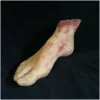 Other Silicone Severed Female Foot