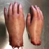 Other Silicone Severed Female Hand