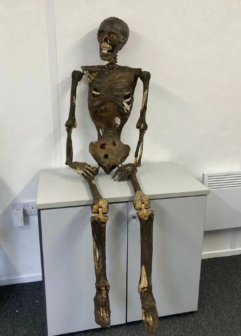 Other Deluxe Corpsed Rotten Skeleton Mummified - Image 5