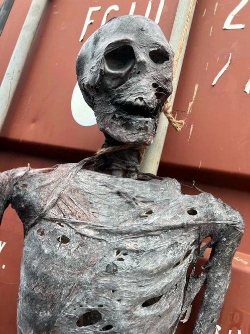 Other Corpsed Life Size Skeleton - Image 8