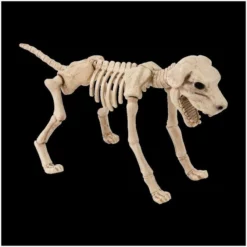 Other Skeleton Dog Halloween Prop