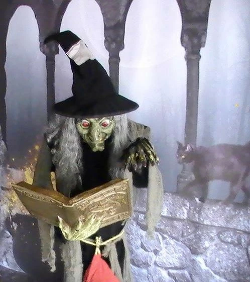 Other Spell Speaking Witch Animated Prop - Image 3