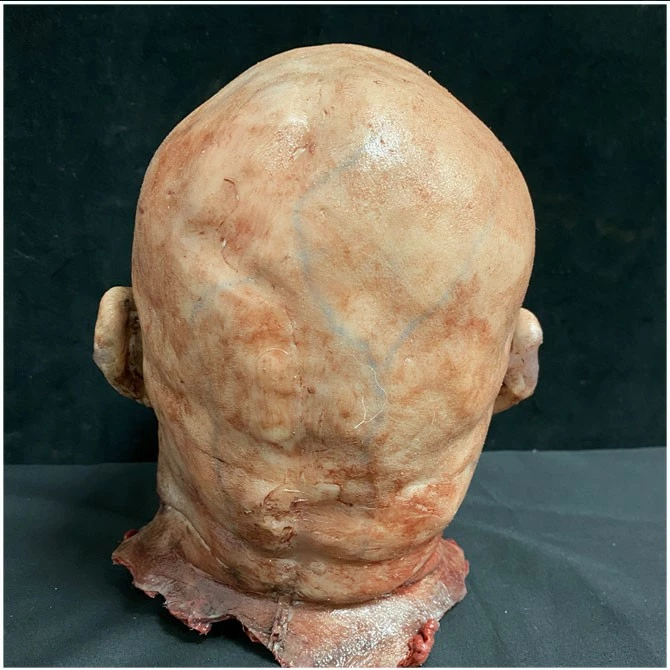 Other Silicone Severed Head Abe, Dead A While - Image 7