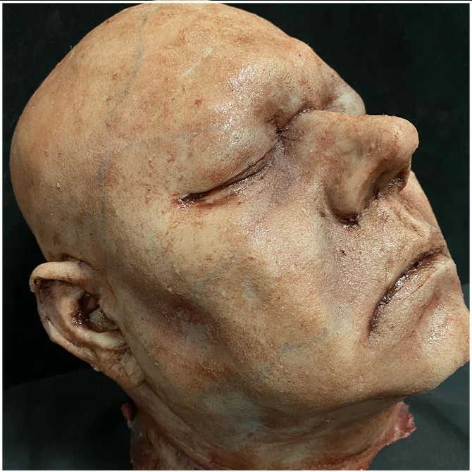 Other Silicone Severed Head Abe, Dead A While - Image 3