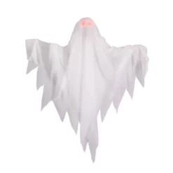 Other Animated Ghost With Light Up Eyes