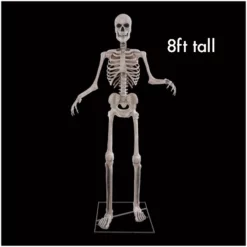 Other 8ft Skeleton Animated Figure With Digiteyes