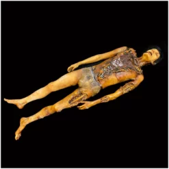 Ghost Ride Productions Autopsy Trevor Rot