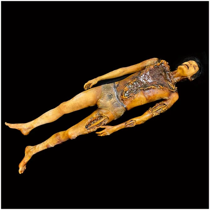 Ghost Ride Productions Autopsy Trevor Rot