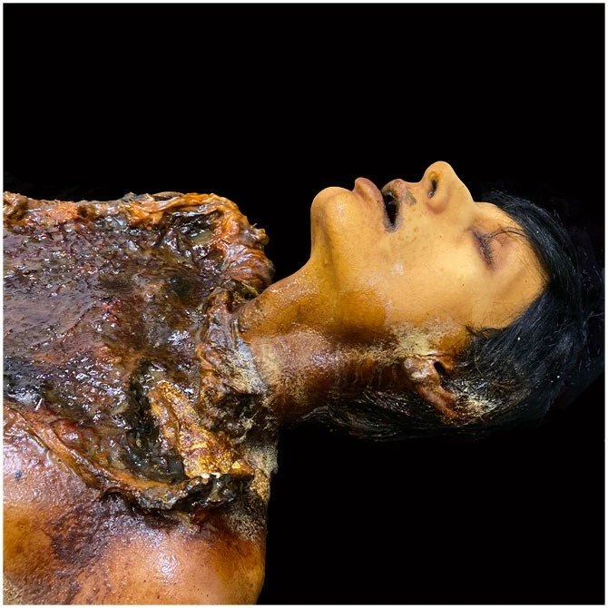 Ghost Ride Productions Autopsy Trevor Rot - Image 2