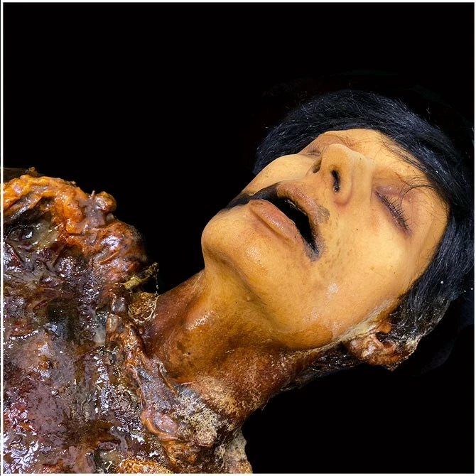 Ghost Ride Productions Autopsy Trevor Rot - Image 3