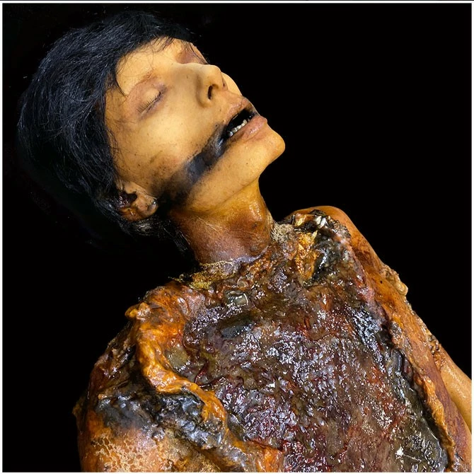 Ghost Ride Productions Autopsy Trevor Rot - Image 6