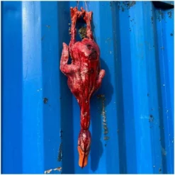 Other Bloody Duck