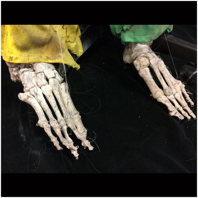 Mad About Horror Deluxe Skeleton Clown Prop Pongo - Image 4