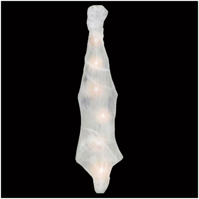 Other Skeleton In Spider Cocoon