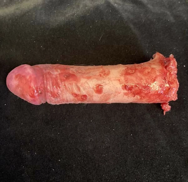 Other Cock In A Box - Image 3