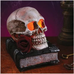 Other Light Up Skull On Book