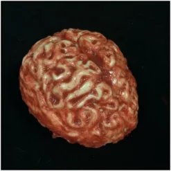 Mad About Horror Silicone Brain