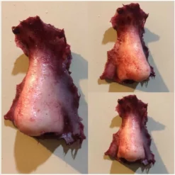Other Silicone Severed Nose