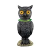 Tekky Toys Animated Standing Owl