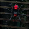 Other Light Up Giant Spider